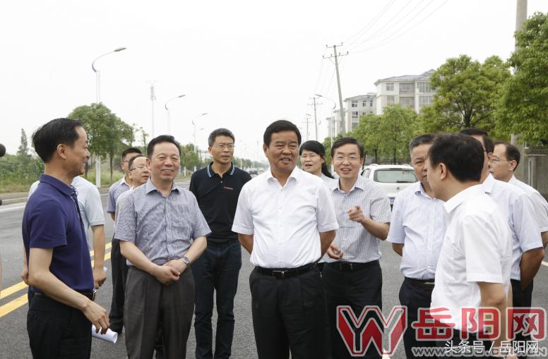 岳阳蒙华铁路进港支线最新情况,岳阳蒙华铁路进港支线最新情况