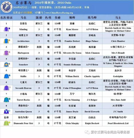 香港马资料更新最快的,香港赛马资料更新的速度与准确性，探索最新信息之源