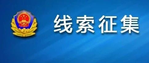 澳门正版资料免费大全新闻——揭示违法犯罪问题,澳门正版资料免费大全新闻——深入揭示违法犯罪问题