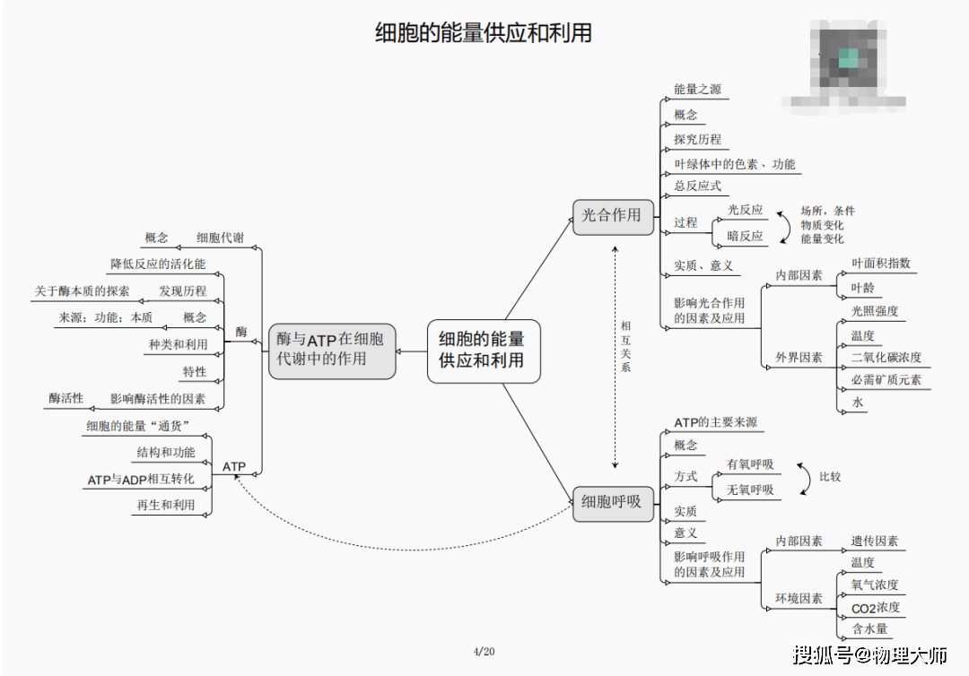 孔雀蓝 第8页