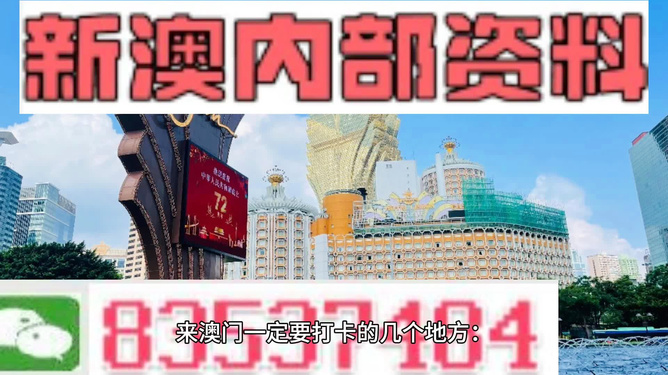 2024澳门今晚必开一肖,澳门今晚必开一肖——探寻幸运之门的秘密