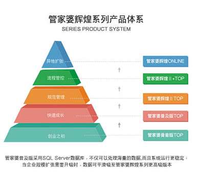 澳门管家婆,澳门管家婆，传统与现代家政服务的融合与创新