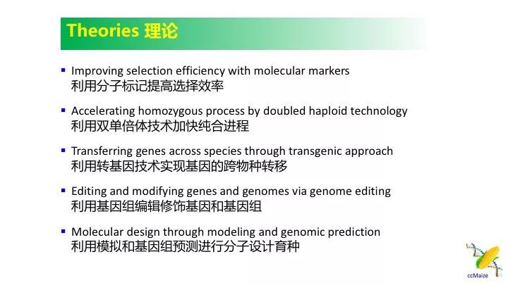 新澳资料免费长期公开,新澳资料免费长期公开，助力学术研究与知识共享的新篇章