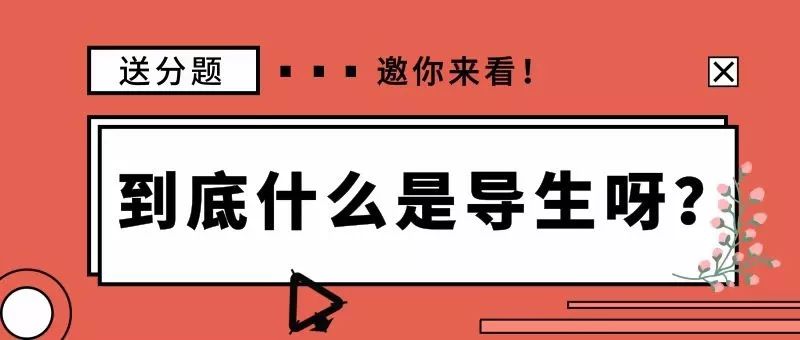 2025今晚必出三肖,关于今晚必出三肖的预测与探讨——以2025年为背景